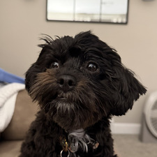 Sam