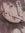 William R.L. Wittich