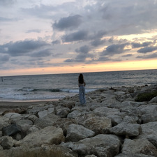 Alya