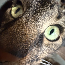 Lucy