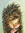 Hedgehog
