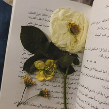 هاجر نور الدين