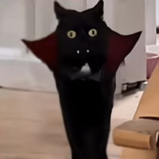 matylda