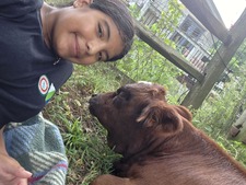 Bree