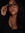 yvette