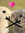 kiminichu