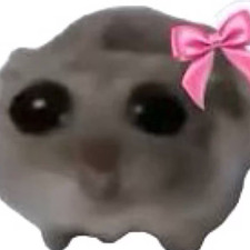 gracer