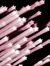 Haley
