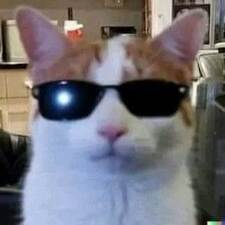 Catboxmeow