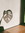 member photo member photo