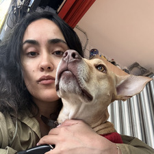 Sofía Rodríguez