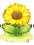 Lalia