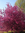 Theresa | 1582 comments