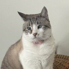 Lee