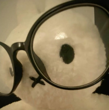 Miffy