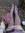 Hafsa