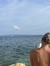 Vilde M...