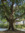 member photo member photo