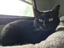Erika