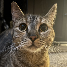 Julie
