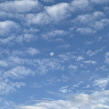 Shiru