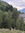 Judith