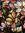 siiri ˙⋆✮⋆˚࿔