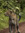 member photo member photo