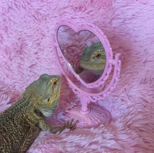 Erin