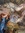 ℐdola ☽