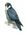 VegetarianFalcon