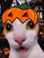 spooky ...