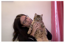 aida :)