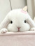 Bunni
