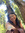 Roanne Dacumos