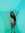 Kait Bing