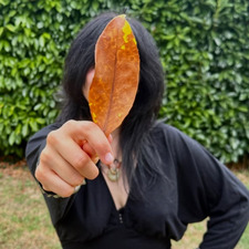 Sara