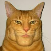 Nik
