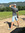 Thomas Pilz