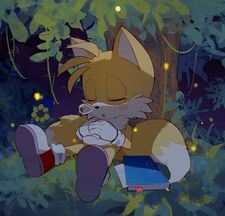 WILDO