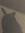 Ray