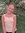 Willow Macleod