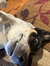 Sadie G...