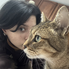Sara