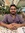Ashish Agrawal