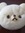 xinxin