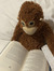 dk