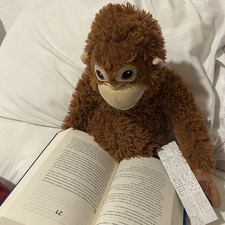 dk