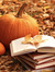Karin O...
