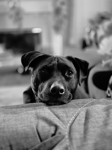 Riley B.